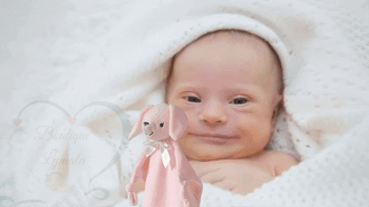 Video avec elephant doudou
